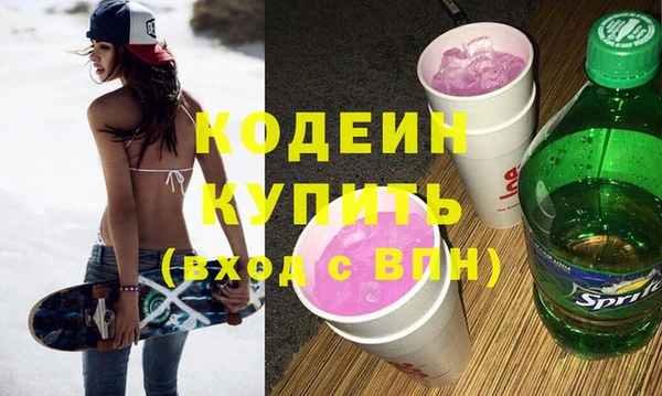 apvp Каменка