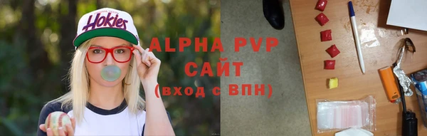 apvp Каменка
