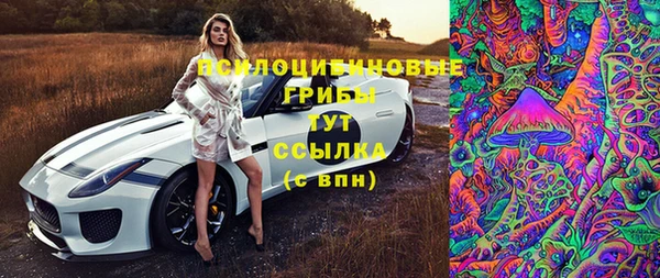 apvp Каменка