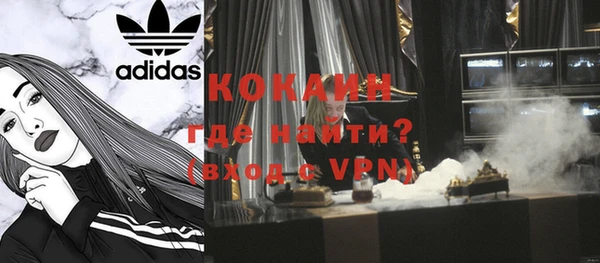 apvp Каменка