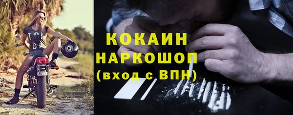 apvp Каменка