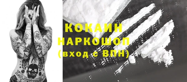 apvp Каменка