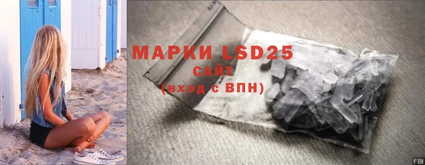 apvp Каменка