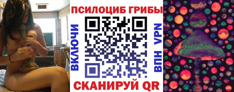 Купить где  Дорогобуж  Псилоцибиновые грибы Magic Shrooms 
